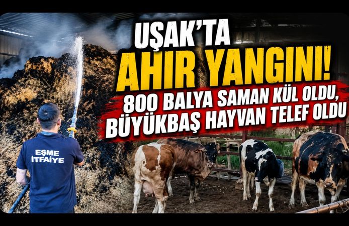 Uşak'ta Ahır Yangını! 800 Balya Saman Kül Oldu, Büyükbaş Hayvan Telef Oldu
