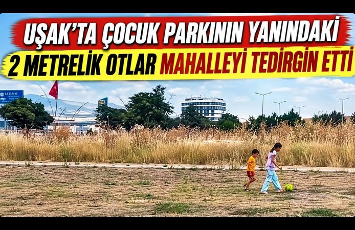 Uşak’ta Çocuk Parkının Yanındaki 2 Metrelik Otlar Mahalleliyi Tedirgin Etti