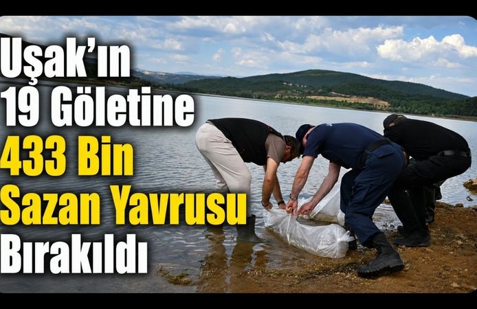 Uşak’ın 19 Göletine 433 Bin Sazan Yavrusu Bırakıldı