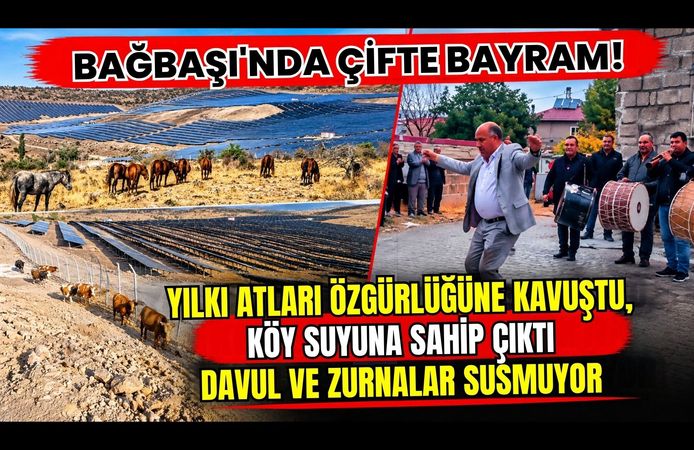 Bağbaşı'nda Çifte Bayram! Yılkı Atları Özgürlüğüne Kavuştu, Köy Suyuna Sahip Çıktı, Davul ve Zurnalar Susmuyor