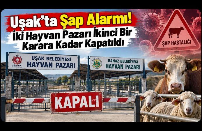 Uşak’ta Şap Alarmı! İki Hayvan Pazarı İkinci Bir Karara Kadar Kapatıldı