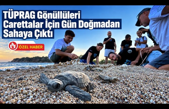 TÜPRAG Gönüllüleri Carettalar İçin Gün Doğmadan Sahaya Çıktı