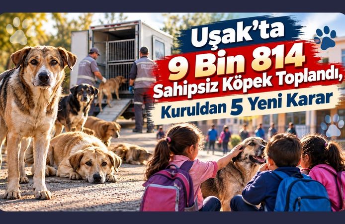 Uşak’ta 9 Bin 814 Sahipsiz Köpek Toplandı, Kuruldan 5 Yeni Karar