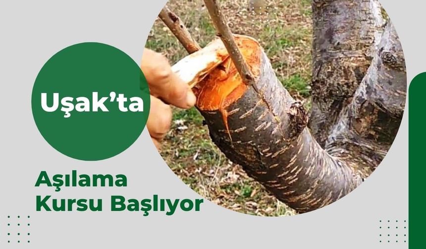Uşak’ta Aşılama Kursu Başlıyor