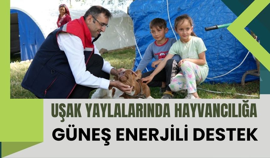 Uşak Yaylalarında Hayvancılığa Güneş Enerjili Destek