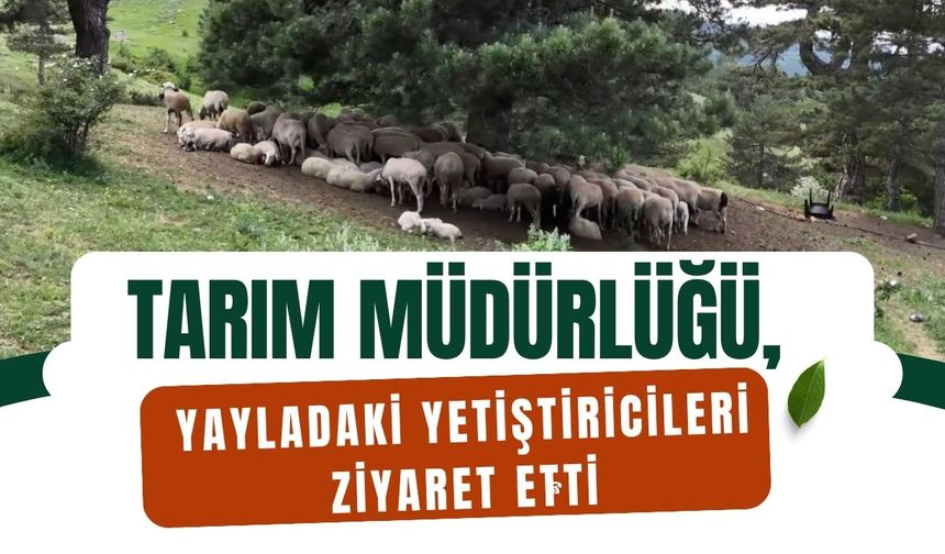 Tarım Müdürlüğü, Yayladaki Yetiştiricileri Ziyaret Etti