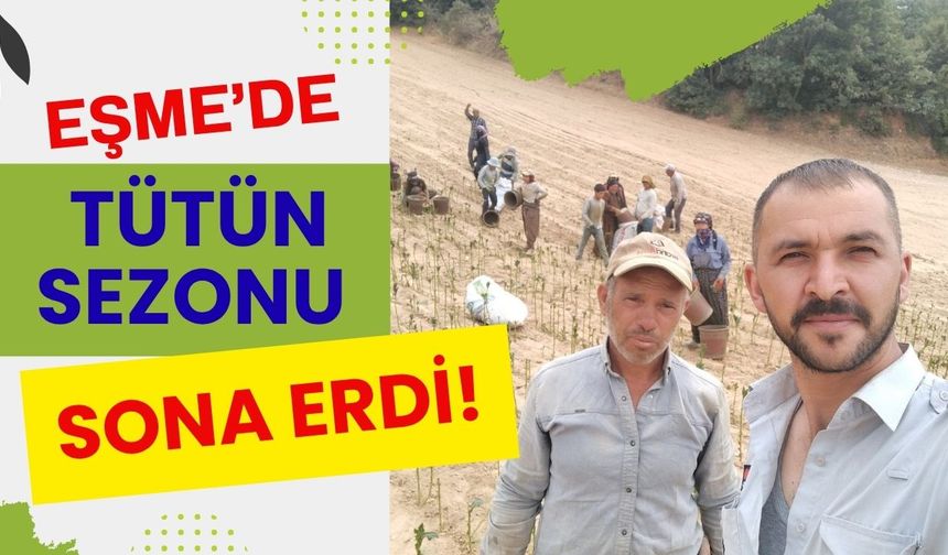 Eşme’de Tütün Sezonu Sona Erdi!