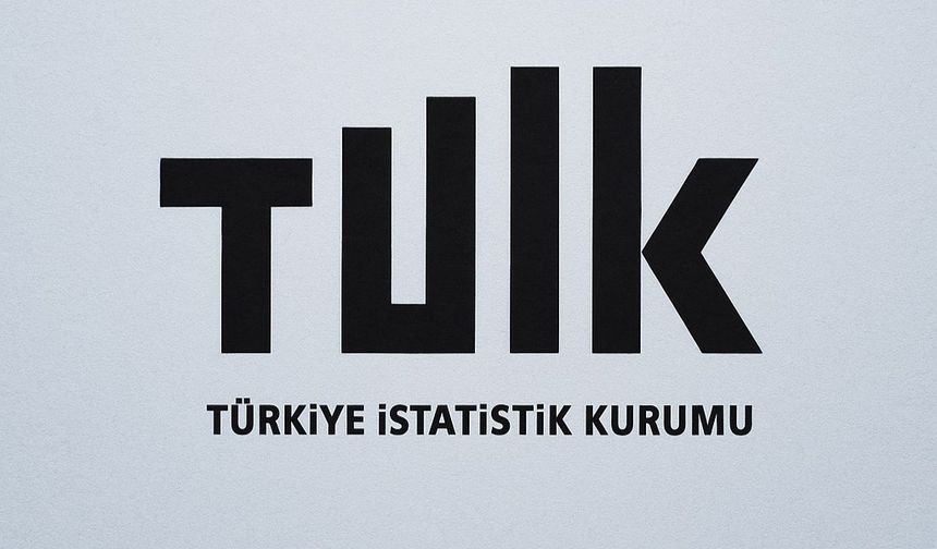 Yurt İçi Üretici Fiyat Endeksi Temmuz'da Yüzde 24,19 Arttı