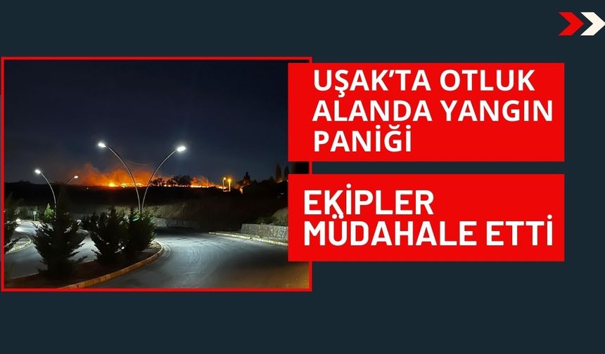 Uşak’ta Otluk Alanda Yangın Paniği: Ekipler Müdahale Etti