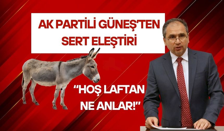 Güneş’ten Sert Eleştiri, “Eşek Hoş Laftan Ne Anlar!”