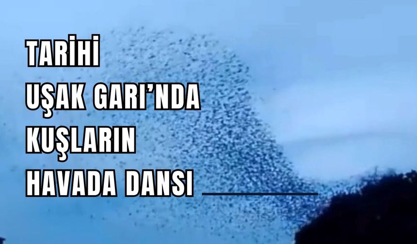 Tarihi Uşak Garı’nda Kuşların Havada Dansı
