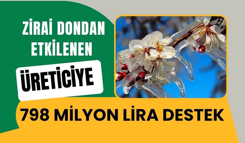 Zirai Dondan Etkilenen Üreticiye 798 Milyon Lira Destek