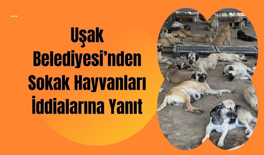 Uşak Belediyesi’nden Sokak Hayvanları İddialarına Yanıt
