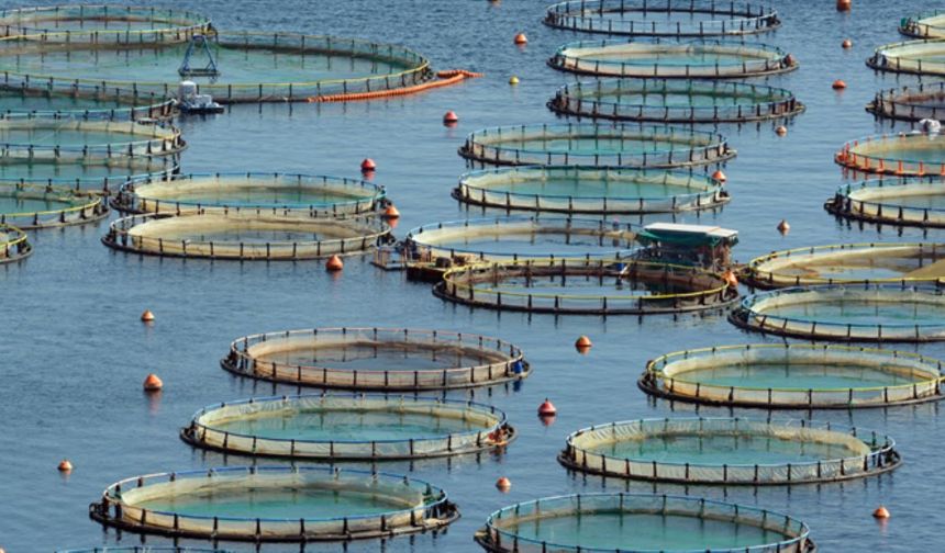 Bakan Yumaklı, “Türkiye Su Ürünlerinde Bölgesel Lider”