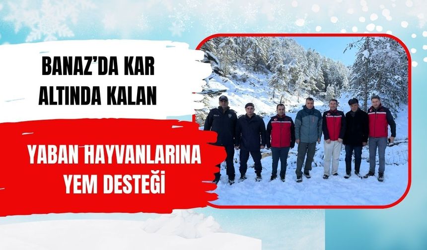 Banaz’da Kar Altında Kalan Yaban Hayvanlarına Yem Desteği