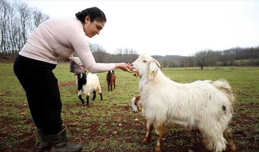 Moda Tasarımcısı Kamp Yaptığı Köye Yerleşti