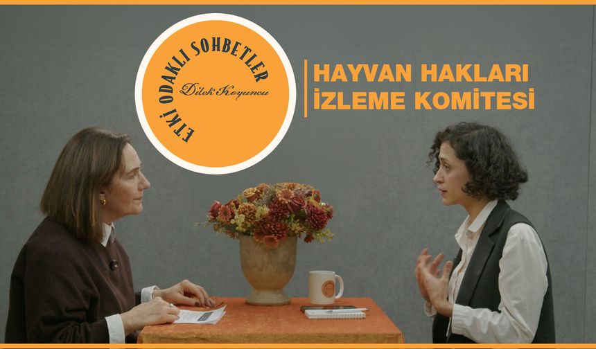 Etki Odaklı Sohbetler’de Hayvan Hakları Gündemi: Fatma Biltekin Sistematik İhlallere Dikkat Çekti
