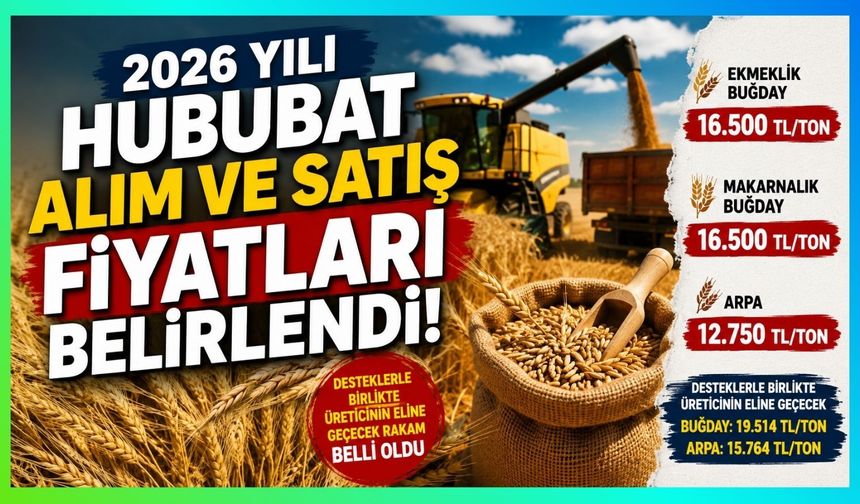 Buğday ve Arpa Fiyatları Açıklandı! Üreticinin Eline Geçecek Rakam Belli Oldu
