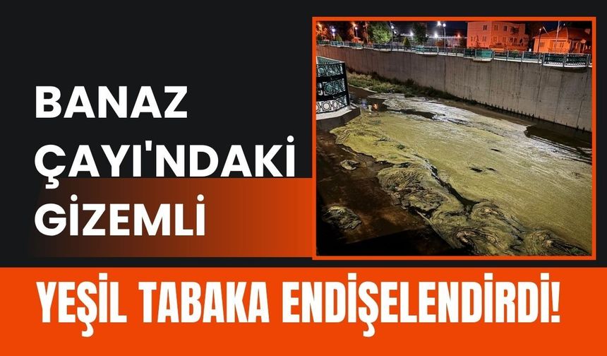 Banaz Çayı'ndaki Gizemli Yeşil Tabaka Endişelendirdi! Vatandaşlar Açıklama Bekliyor