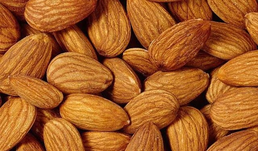 Kayısı Çekirdeği Faydalı mı? Uzmanların Uyardığı Riskler
