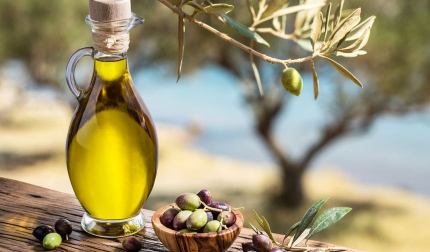 Türkiye'nin Zeytin ve Zeytinyağı İhracatı İlk Yarıda Yüzde 30 Geriledi