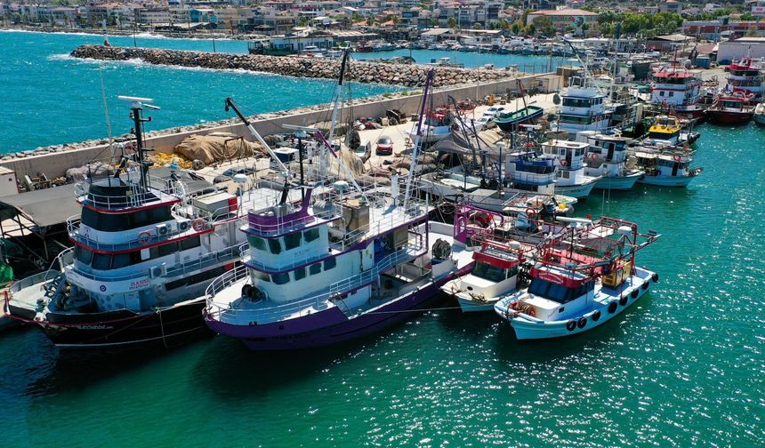 Balıkçılar Sezona Hamsi Bereketiyle Başladı: 2 Saatte 300 Kasa