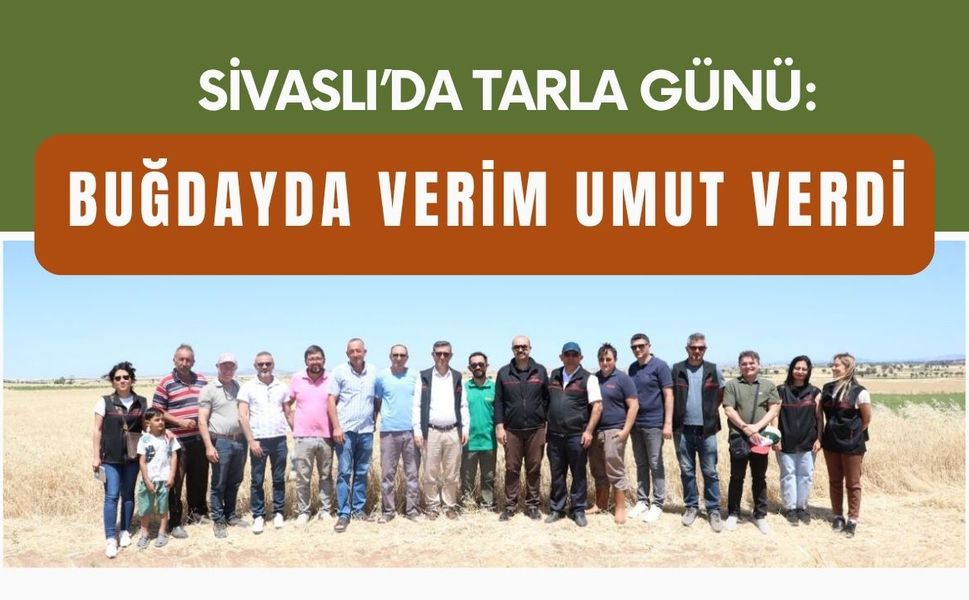 Sivaslı’da Tarla Günü: Buğdayda Verim Umut Verdi