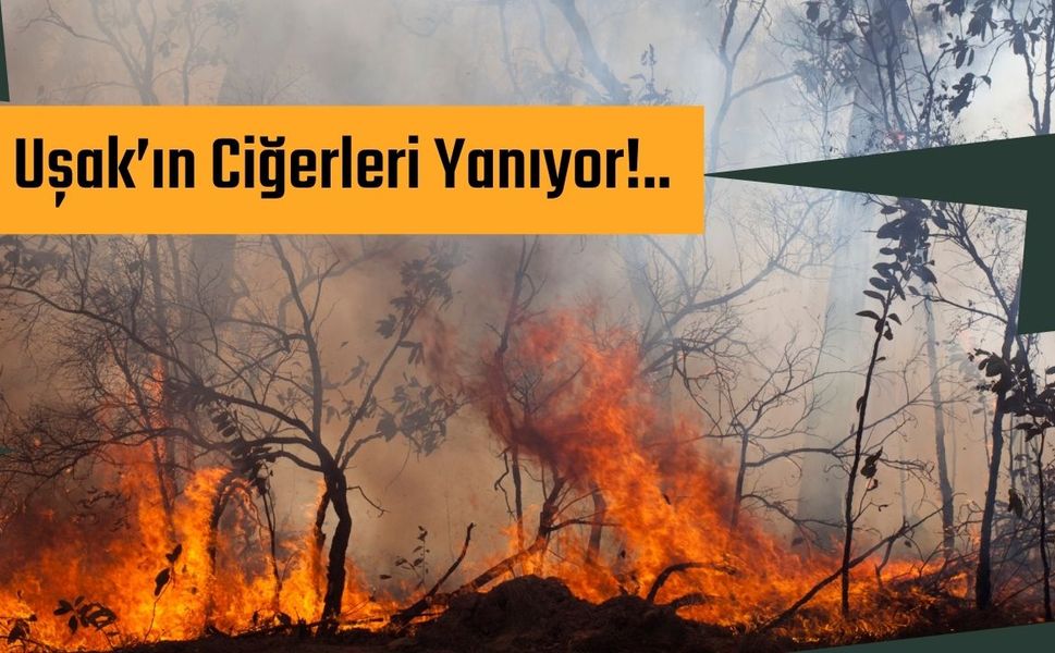 Uşak’ın Ciğerleri Yanıyor!..