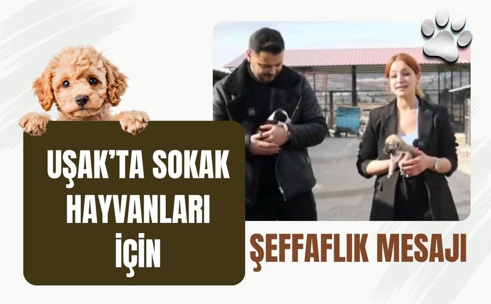 Uşak’ta Sokak Hayvanları İçin Şeffaflık Mesajı