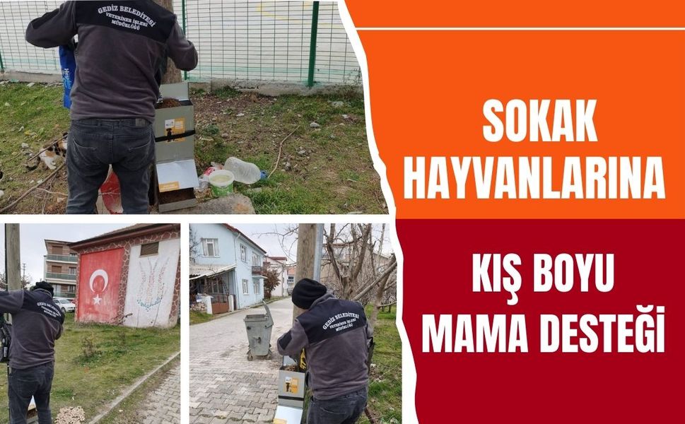 Sokak Hayvanlarına Kış Boyu Mama Desteği