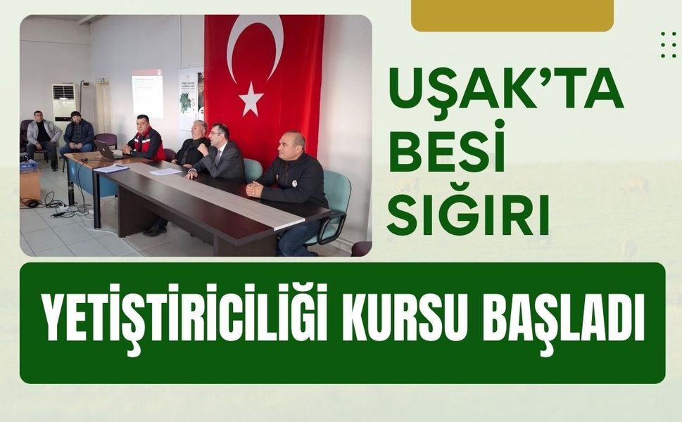 Uşak’ta Besi Sığırı Yetiştiriciliği Kursu Başladı