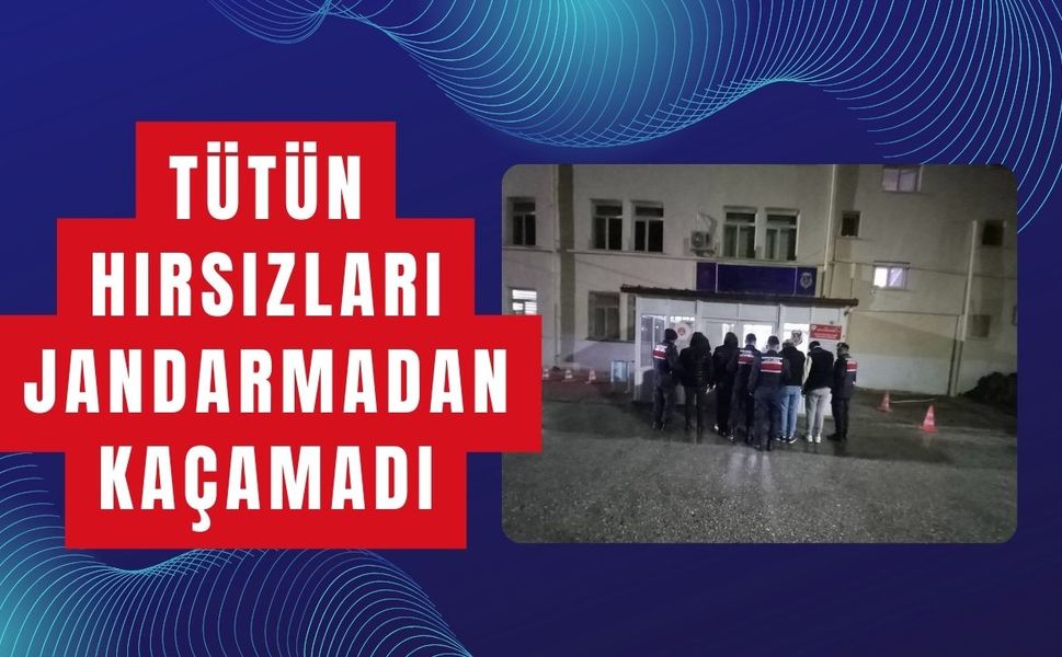 Tütün Hırsızları Jandarmadan Kaçamadı