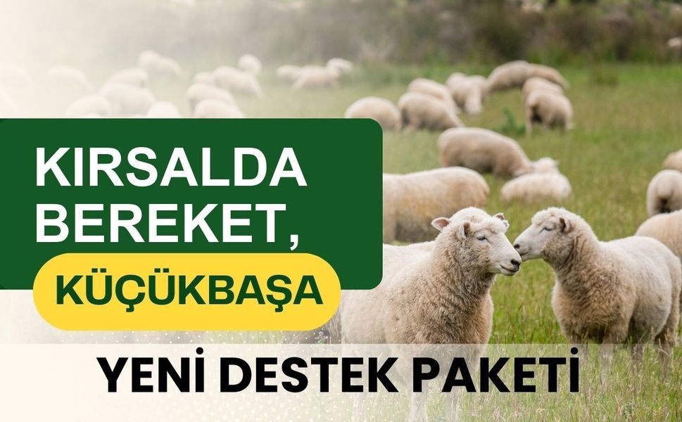Kırsalda Bereket, Küçükbaşa Yeni Destek Paketi