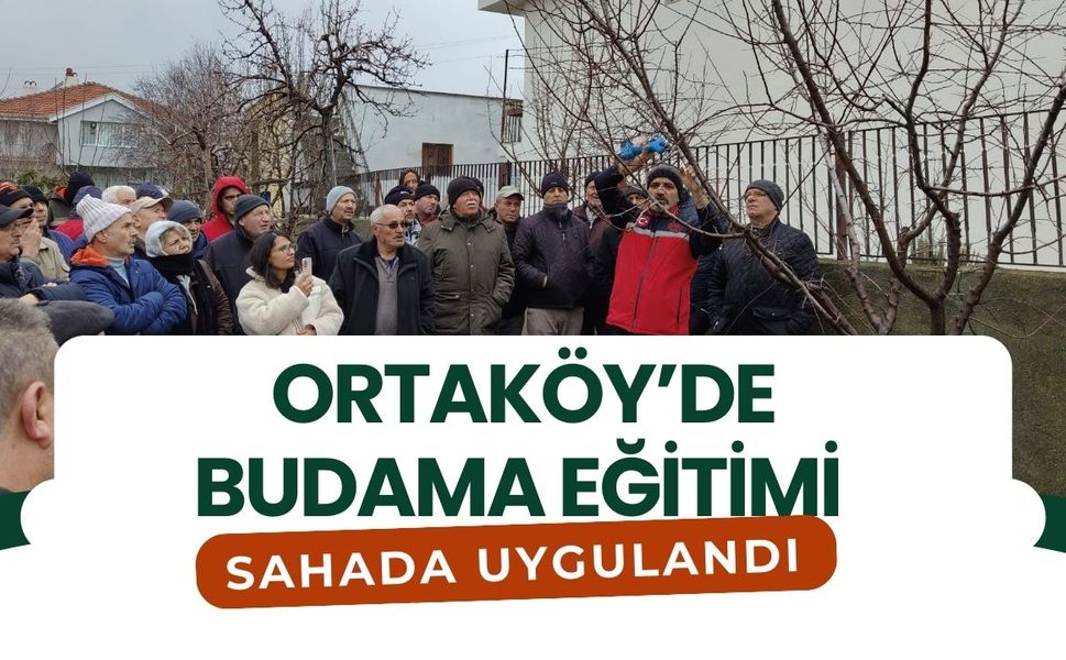 Ortaköy’de Budama Eğitimi Sahada Uygulandı
