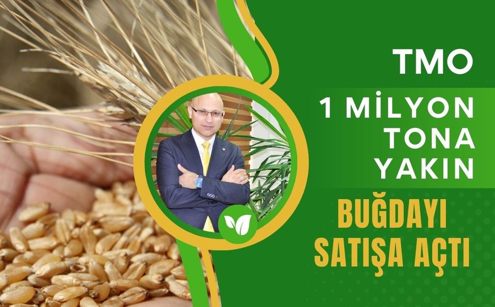 TMO 1 Milyon Tona Yakın Buğdayı Satışa Açtı