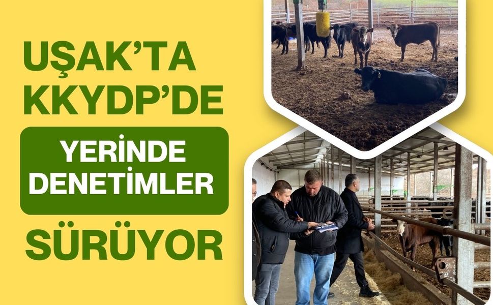 Uşak’ta KKYDP’de Yerinde Denetimler Sürüyor