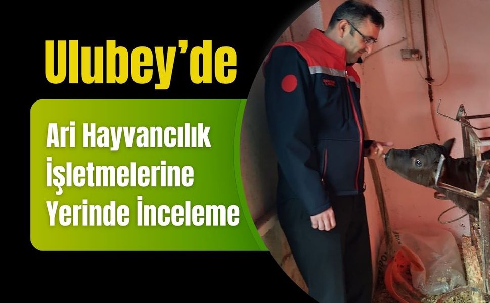 Ulubey’de Ari Hayvancılık İşletmelerine Yerinde İnceleme