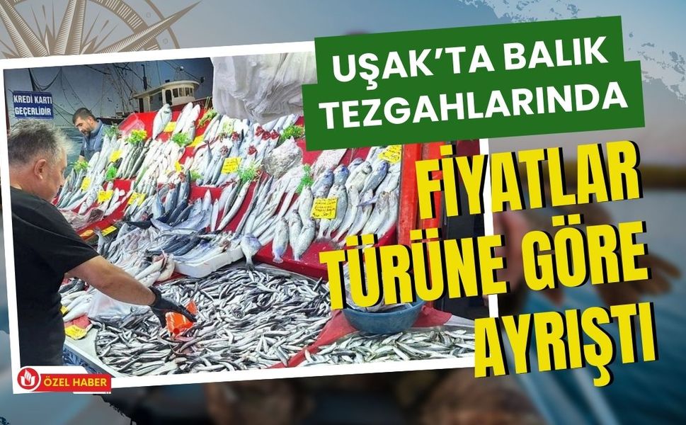 Uşak’ta Balık Tezgahlarında Fiyatlar Türüne Göre Ayrıştı