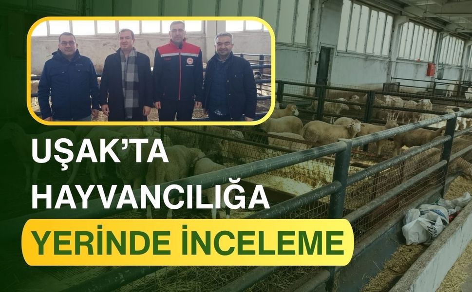 Uşak’ta Hayvancılığa Yerinde İnceleme
