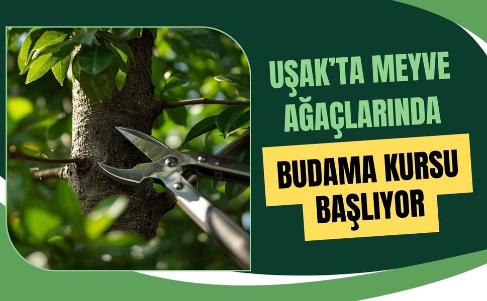 Uşak’ta Meyve Ağaçlarında Budama Kursu Başlıyor