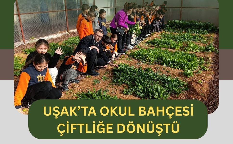 Uşak’ta Okul Bahçesi Çiftliğe Dönüştü