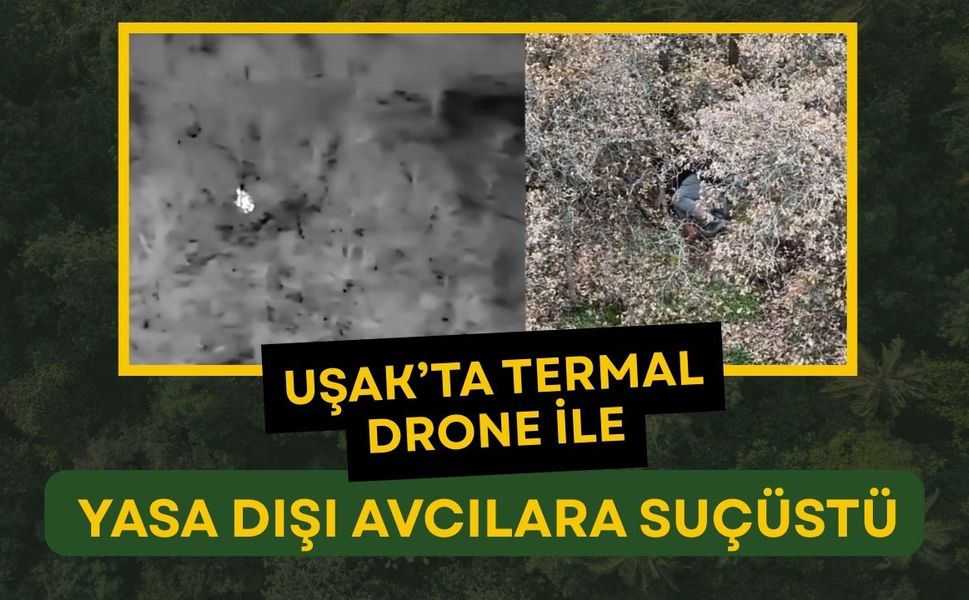 Uşak’ta Termal Drone ile Yasa Dışı Avcılara Suçüstü