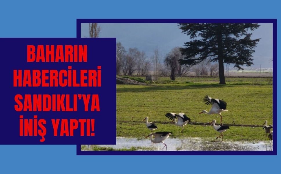 Baharın Habercileri Sandıklı’ya İniş Yaptı!