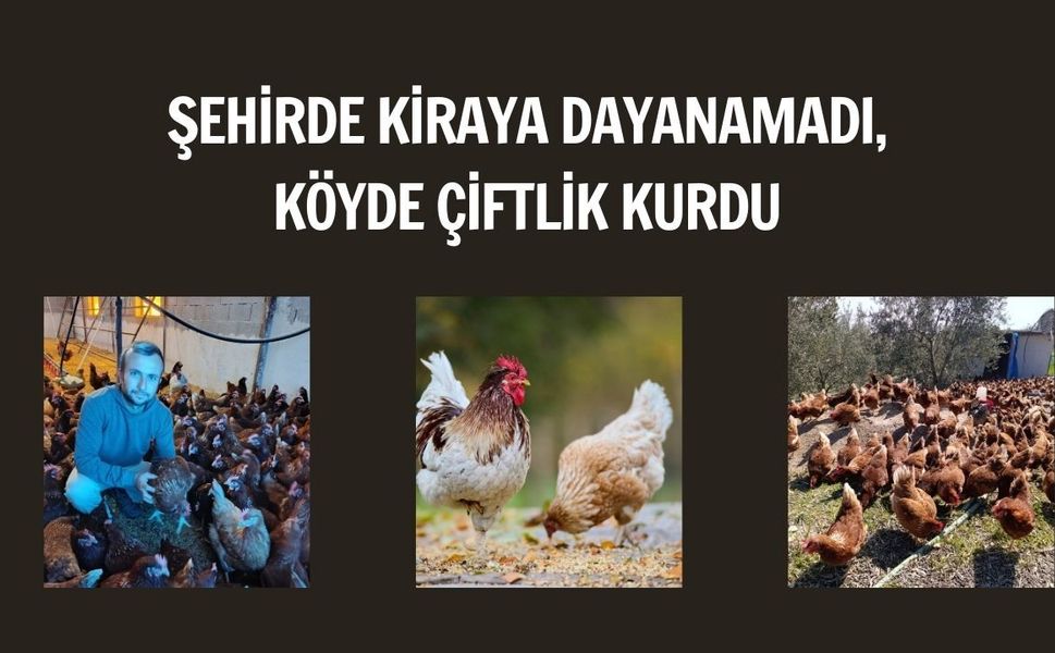 Şehirde Kiraya Dayanamadı, Köyde Çiftlik Kurdu