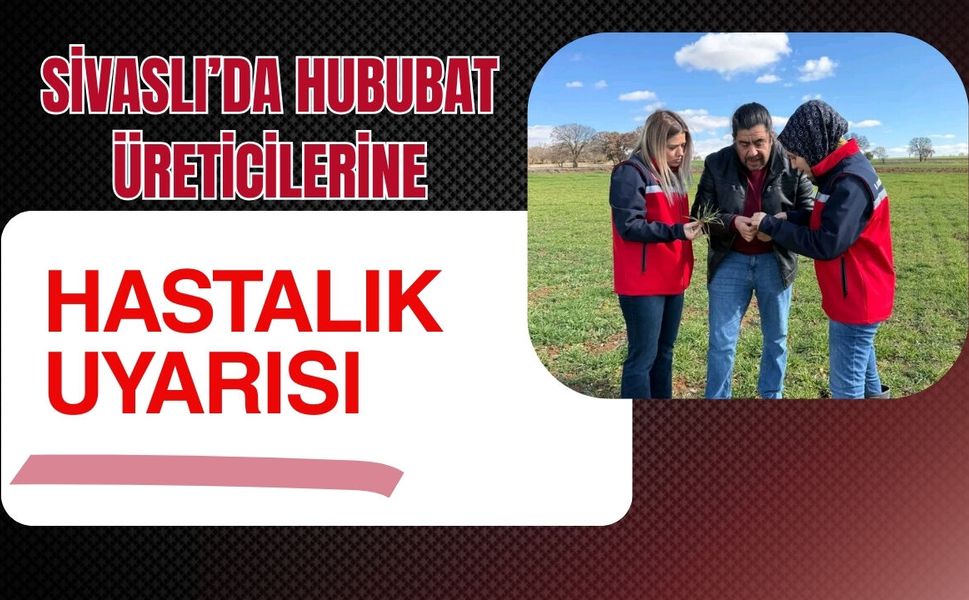 Sivaslı’da Hububat Üreticilerine Hastalık Uyarısı