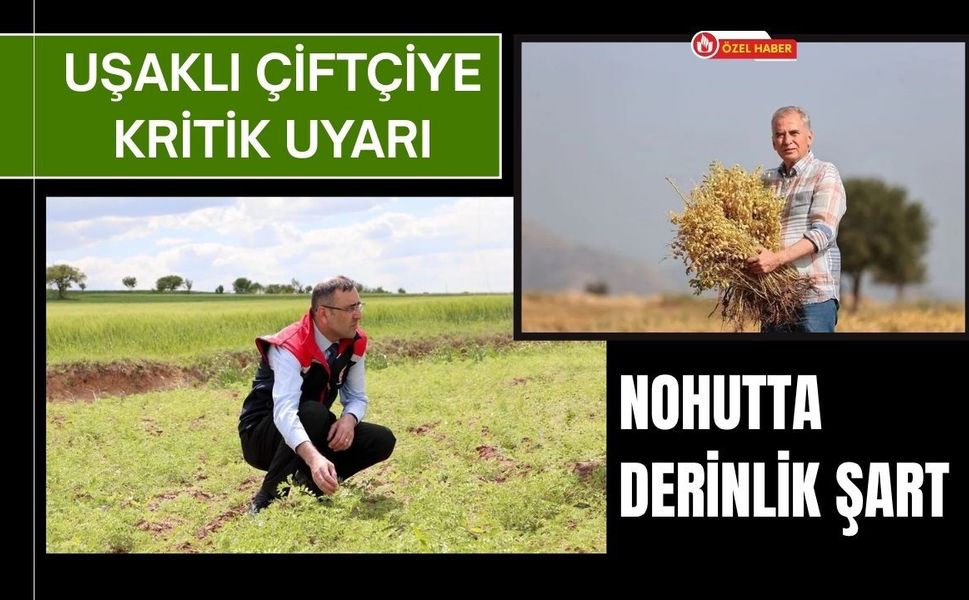 Uşaklı Çiftçiye Kritik Uyarı, Nohutta Derinlik Şart