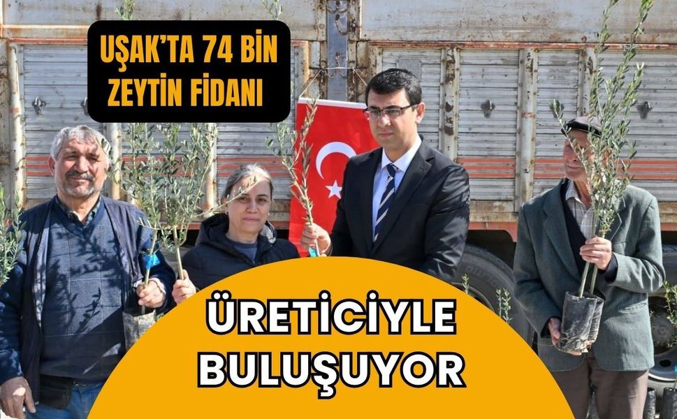 Uşak’ta 74 Bin Zeytin Fidanı Üreticiyle Buluşuyor