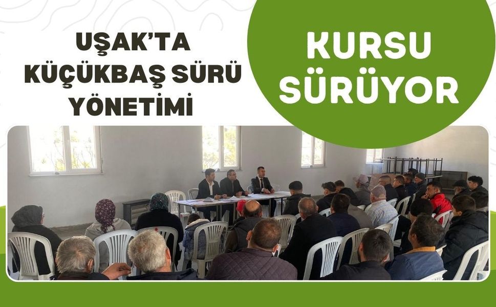 Uşak’ta Küçükbaş Sürü Yönetimi Kursu Sürüyor