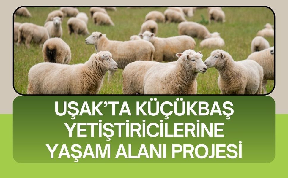 Uşak’ta Küçükbaş Yetiştiricilerine Yaşam Alanı Projesi