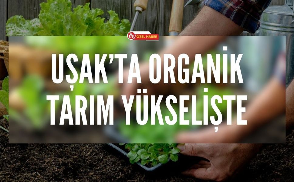 Uşak’ta Organik Tarım Yükselişte